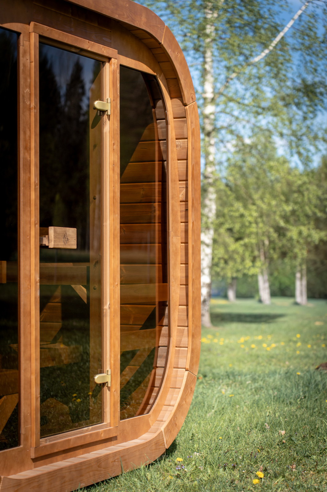 Close view of the Max Traditional Sauna 2.0 glass door and timber frame, with birch trees and grass visible beyond