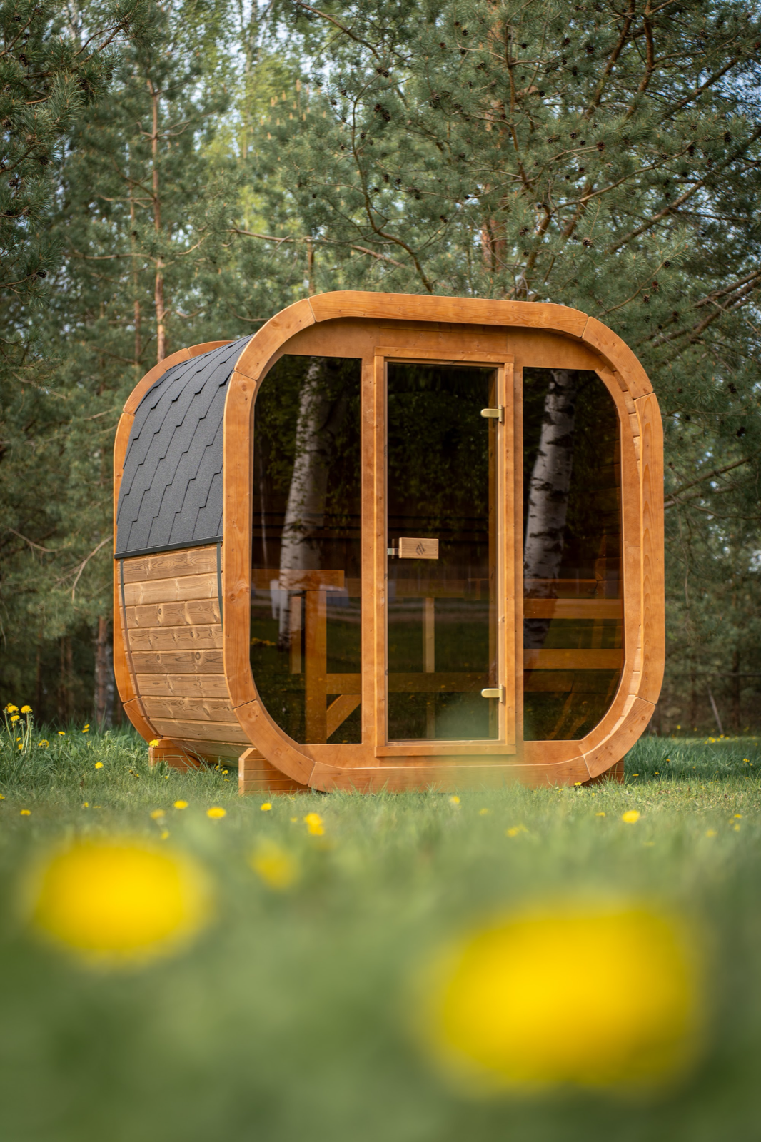 PlusLife Max Traditional Sauna 2.0 in low evening light: rounded timber cabin with a dark shingled roof and a full glass front and door, standing in long grass among pines